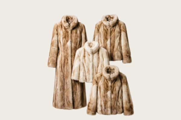 日喀则定结县回收皮草衣服
